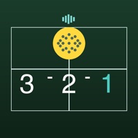Pickleball Voice Score