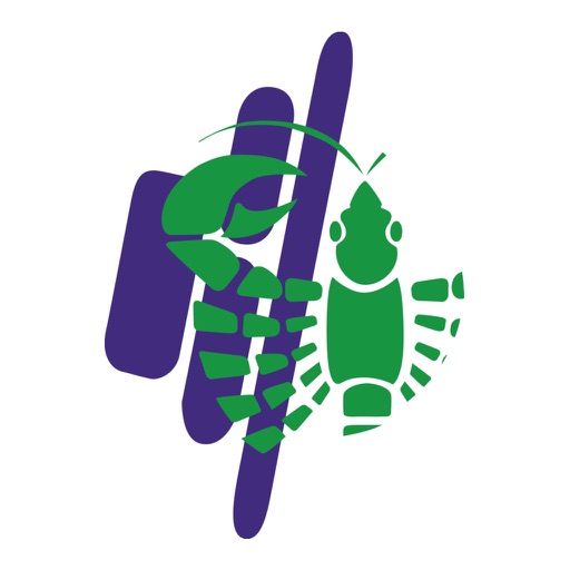 TSV Cottbus Triathlon - AppWisp.com