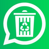 Remes: Deleted Messages