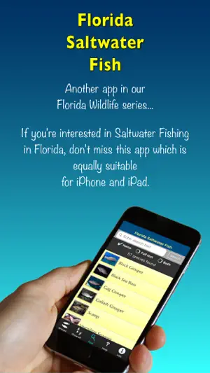 Florida Saltwater Fish screenshot 1