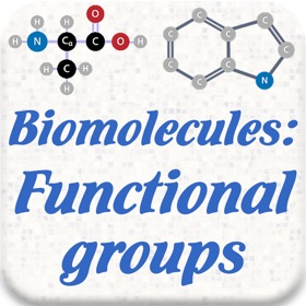 螢幕擷取畫面 (8) Biomolecules:Functional groups
