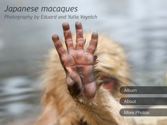 Screenshot #4 pour Japanese Macaques