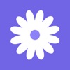 daisies icon