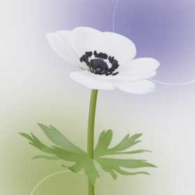Bloom XR