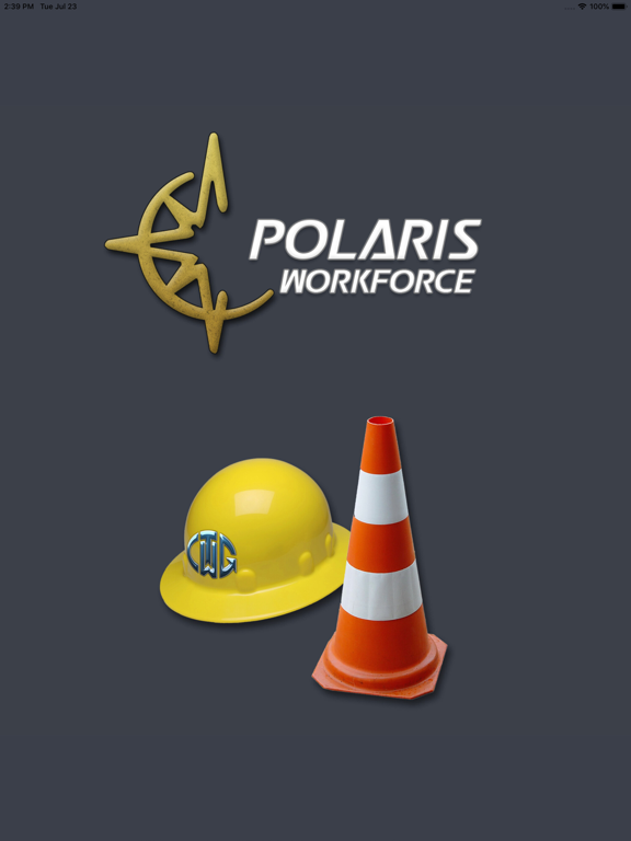 Screenshot #4 pour Polaris Workforce