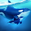 World of Water: Great Journey - STARFORTUNE INTERACTIVE ENTERTAINMENT TECHNOLOGY CO., LIMITED