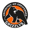 Grizzlys icon