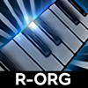 R-ORG 2024 : Real Org Play - koksal baser