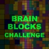 Brain Blocks Challenge icon