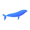 Balene icon