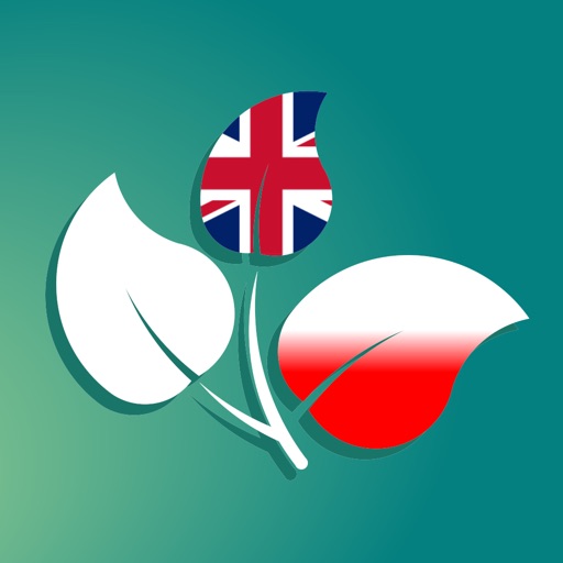 English for Poles - Twigit