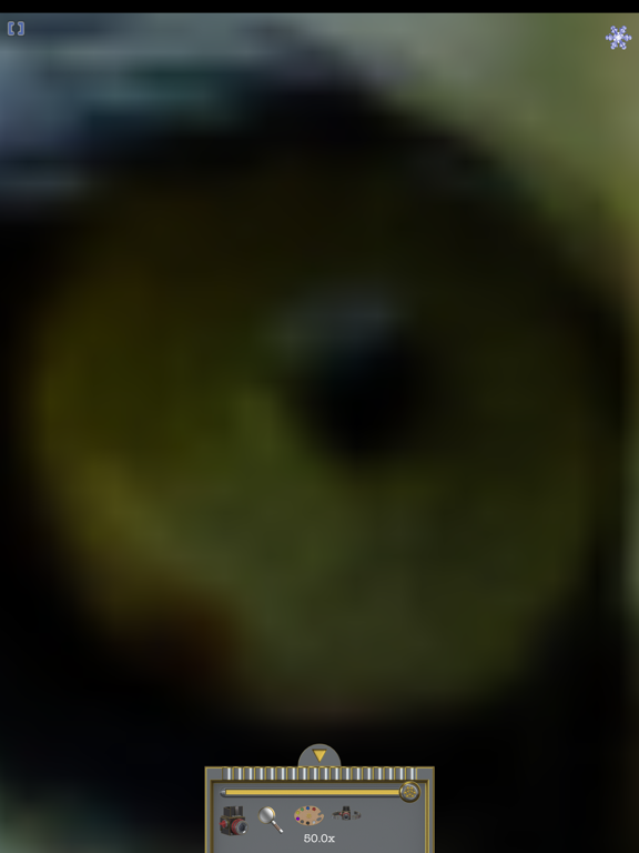 Magnifier (TiAu) iPad screenshot