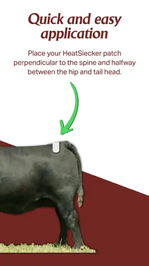 HeatSiecker screenshot 3