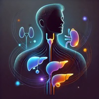 Das Endokrine System Quiz