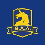 B.A.A. Racing App на пк