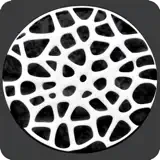 Voronoid - App Icon