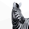 Investec Private Client icon
