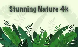 Stunning Nature : 4K Wallpaper app icon