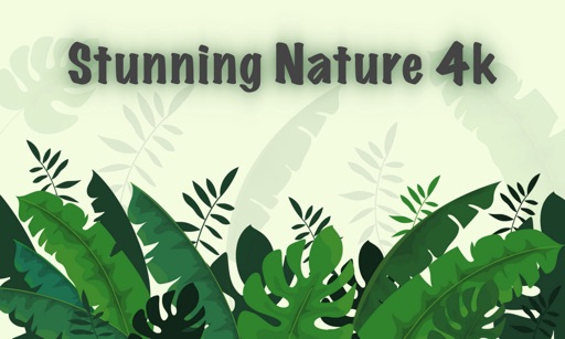 Stunning Nature : 4K Wallpaper app icon