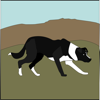 SheepDog - NZ Sheep Dog Trial Association Inc
