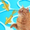 Games for Cats are designed to keep your pet entertained