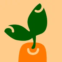 Veggify | Vegan Recipes & Meal
