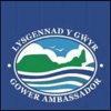 Tourism Swansea Bay icon