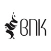 BNK Automotive icon