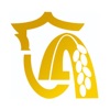 新隆安 icon