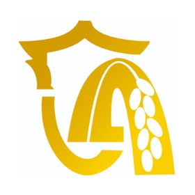 新隆安
