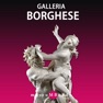 Get Audio Guide Galleria Borghese for iOS, iPhone, iPad Aso Report