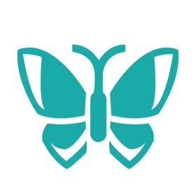 蝶花