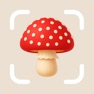 Get Mushroom Identifier: ShroomPic for iOS, iPhone, iPad Aso Report