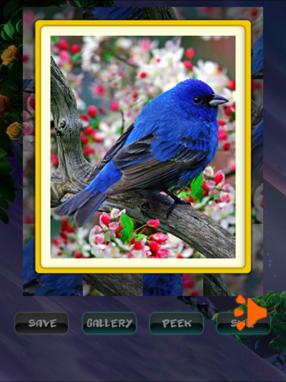 Screenshot #6 pour Spring Jigsaw Puzzles