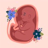 Contraction Counter - Timer icon