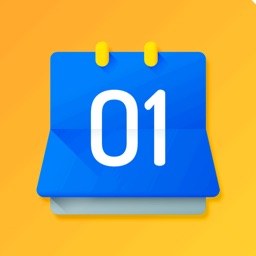 Countdown Widget: Days Counter