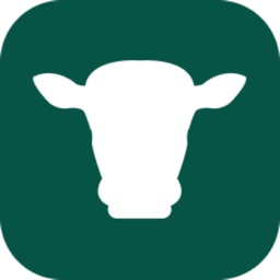 HerdVision