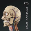 掌上3D解剖 icon
