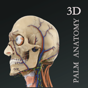 掌上3D解剖-学解剖·中医·刷题·听名师课程
