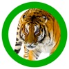 Animals 360 icon