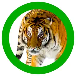 Animals 360 app icon