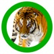 Animals 360 app icon - Education app for iPhone