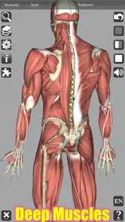 3d anatomy iPhone Captures Décran 4