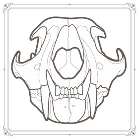螢幕擷取畫面 (5) AlaskanInk : Procreate Tattoo