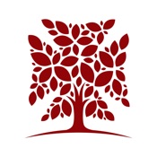 My São João