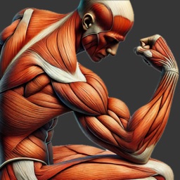 Suivi de musculation Gymmix