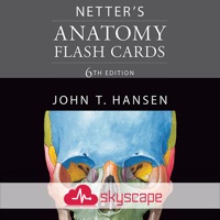 Netters Anatomy Flash Cards