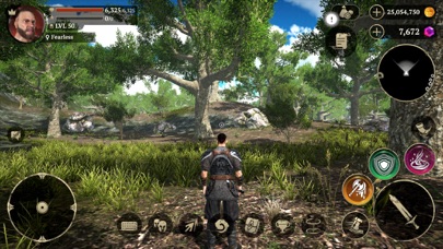 Screenshot from Evil Lands: Epic MMORPG game