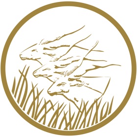 BEAC NG2020