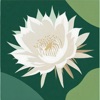 Bloom Tracker icon
